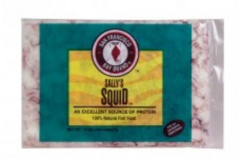 San Francisco Bay Frozen Squid 16oz Flat - Image 2