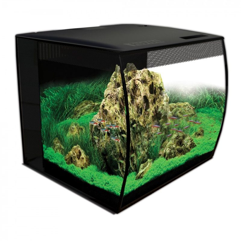 Fluval Flex Aquarium Kit 15gal Black - Image 2