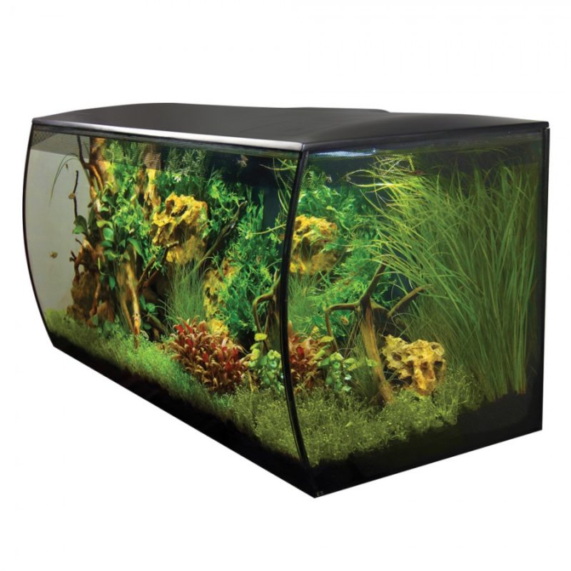 Fluval Flex Black Aquarium Kit 32.5 gallon - Image 4