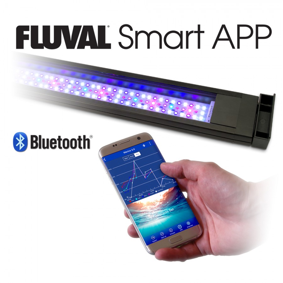 fluval lamp timer