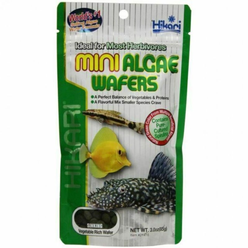 Hikari Mini Algae Wafers .77oz